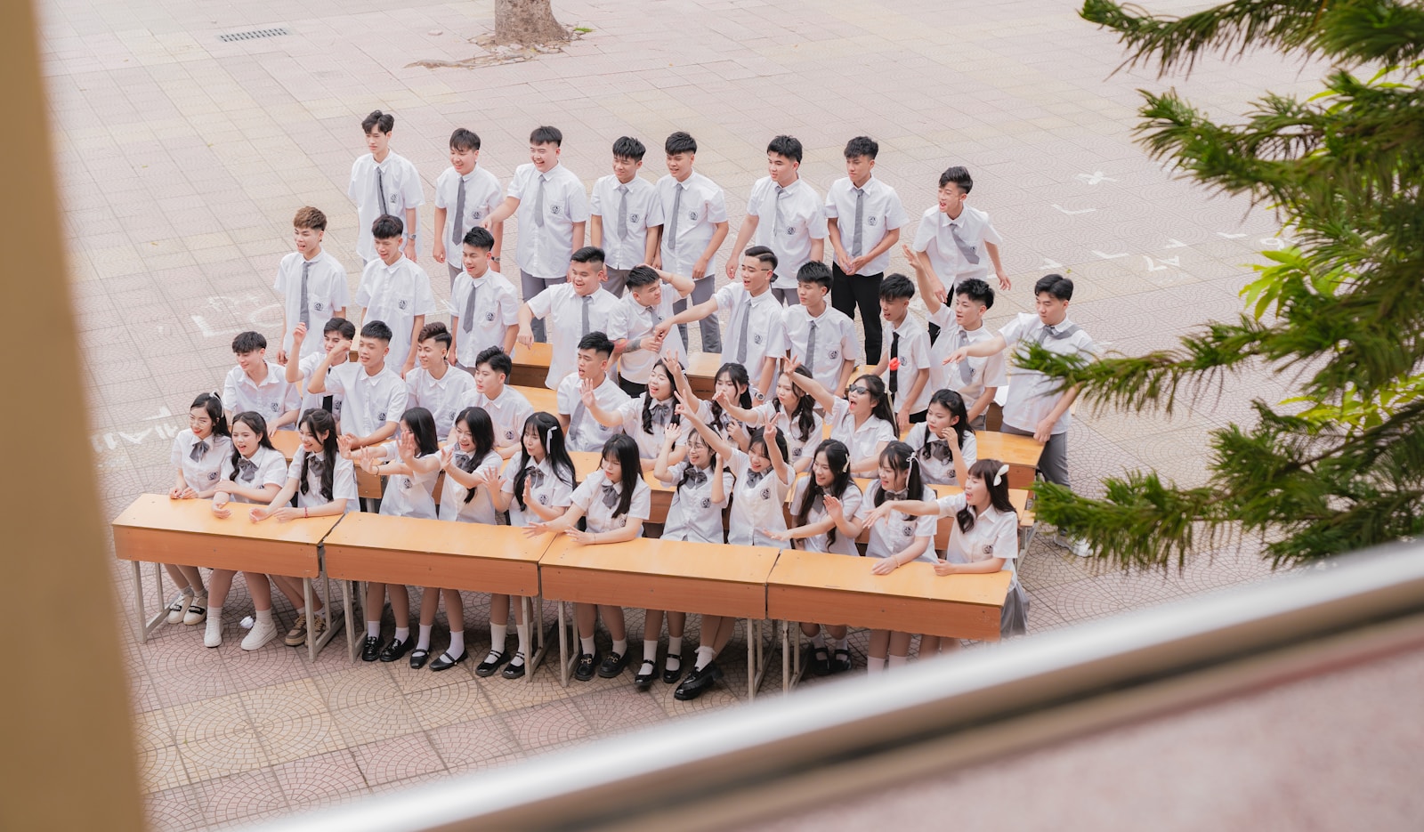 School Administrators And Services Africa