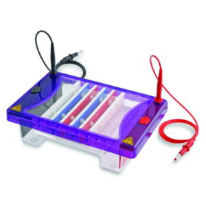 Gel electrophoresis tank MultiSUB Choice